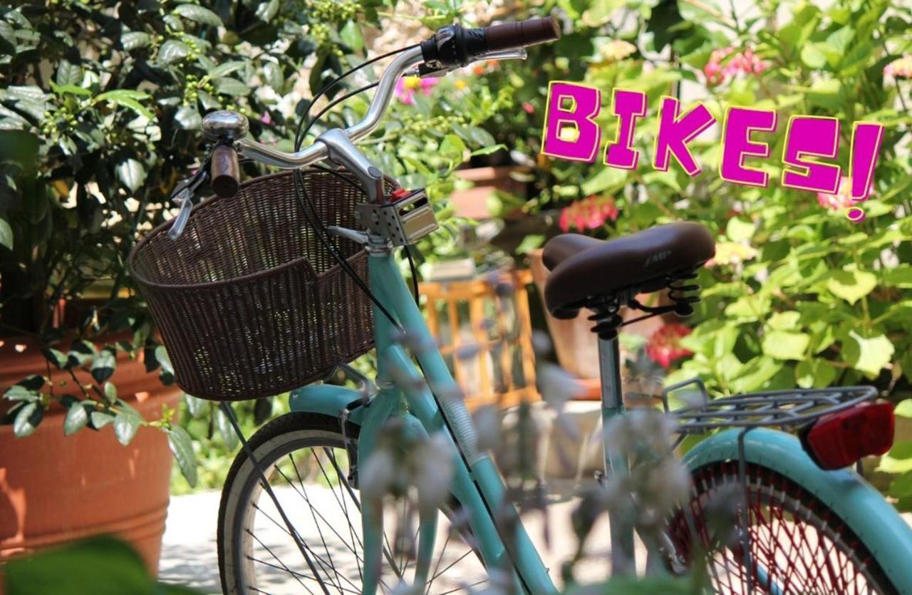 Il Cortile Di Elisa & Our Flats Bed & Breakfast Lucca Exterior foto